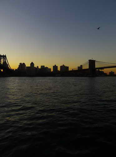 NYC_2012-11-21 07-06-06_P1070358